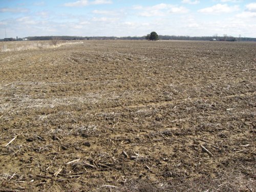 Property photo 38 - 127 Acres Offered in 4 Tracts